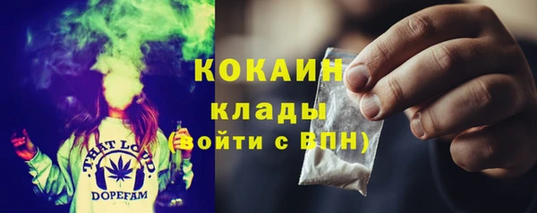 молекула духа Алексеевка