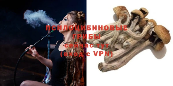 ГАЛЛЮЦИНОГЕННЫЕ ГРИБЫ Алзамай