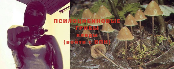 ГАЛЛЮЦИНОГЕННЫЕ ГРИБЫ Алзамай