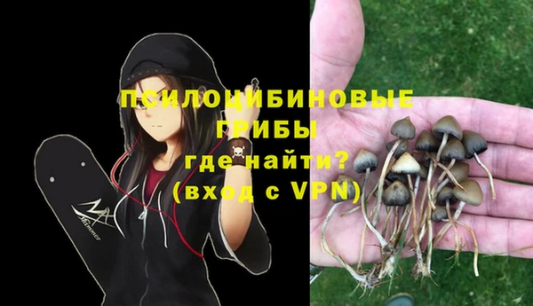 молекула духа Алексеевка