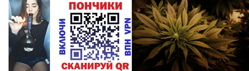 как найти закладки  Сосновка  Бошки Шишки планчик 